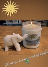 Load image into Gallery viewer, Tropical Paradise Candle
